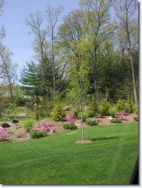 You have reached the last slide